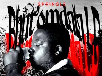 Springle - Qaphela Ft. D’Braz & T&T MuziQ