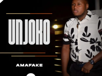 UNjoko – Amafake Album