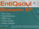 EntiQsoul – Blossom EP