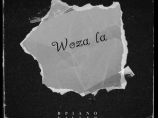 BPiano killer - Woza la