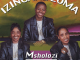 Msholozi · Izingane Zoma