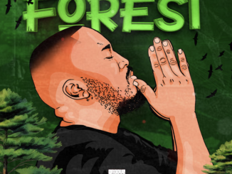 Citizen Sthee – Forest EP