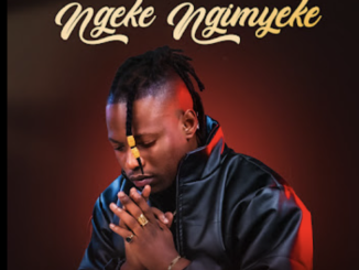 Mduduzi Ncube ft Big Zulu, Fanatic SA, Stalin Matsitsa, Caeser & Ayanda Art – Ngeke Ngimyeke