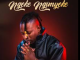 Mduduzi Ncube - Ngeke Ngimyeke (Ft. Lwah Ndlunkulu)