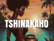 Lutroo Da-Music - Tshinakaho