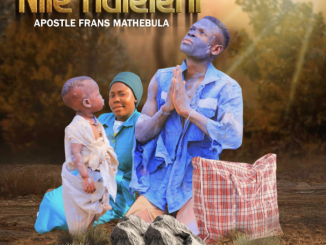 Nile Ndleleni APOSTLE F MATHEBULA • Album