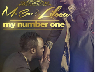 Mr. Bow - My Number One (feat. Liloca)