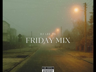 DJ LEE SA - Gqom mix 2025 [Friday mix]