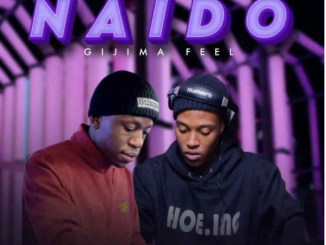 uLazi & Thabza Tee - Naido (Gijima Feel)