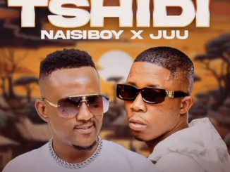 NAISIBOY -Tshidi feat JUU