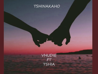 Vhudie - TSHINAKAHO (feat. TSHIA)