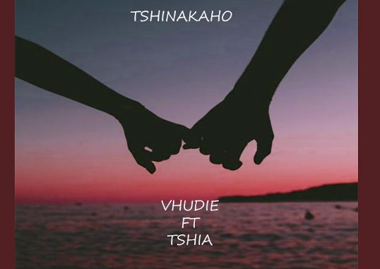 Vhudie - TSHINAKAHO (feat. TSHIA)