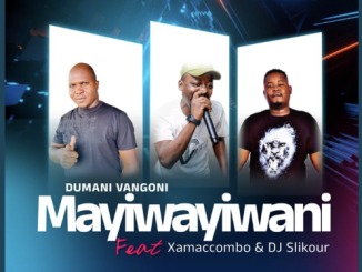 Mayiwayiwani · Dumani Vangoni · DJ Slikour · DJ Slikour