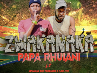 Mpanyas The Producer - Zwakanaka