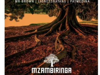 Mr Brown – Mzambiringa (feat. LionessRatang, Pat Medina & Ashley Shane)