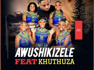 Shuni waseMzini - Awushikizele (feat. Khuthuza)