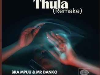 Bra Mpuu - Thula Remake (feat. Mr Danko)