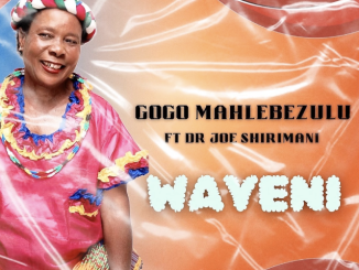 Gogo Mahlebezulu - Wayeni (feat. Dr Joe Shirimani & Gaceni)