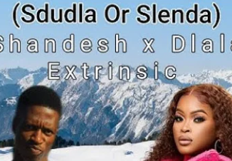 Dlala Extrinsic – Sdudla Or Slenda Shandesh Ft Dlala Extrinsic & Mvzzle