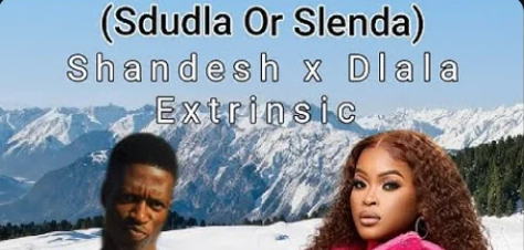 Dlala Extrinsic – Sdudla Or Slenda Shandesh Ft Dlala Extrinsic & Mvzzle