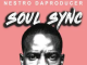 Nestro DaProducer – Soul Sync EP