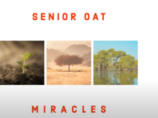 Senior Oat - The Only One Ft. Saltie