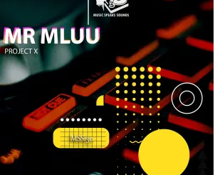 Mr Mluu – Project X EP