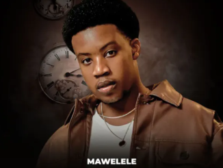 Mawelele – Friend Zone