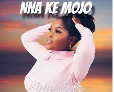 Shandesh – Nna Ke Mojo Ft. Shebeshxt & Nale Boy