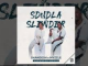 Shandesh & Mvzzle - Sdudla or Slender