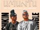 Pushkin RSA & Springle – Umuntu (feat. Dash SA, T&T Musiq & Benyric)