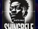 Shatta Wale - Shingbele