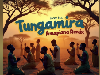 fibman beats - Tungamira