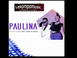 Marumo The Vocalist & 071 Nelly The Master - Paulina