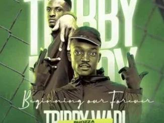 Tribby Wadi Bhozza & Buddy Sax - Bambi ft Shandesh & Ntate Stunna