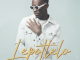 Dr Skaro – Lepotlelo ft. Memie & Mr Brown