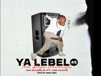 Razolo - Ya lebelo 45