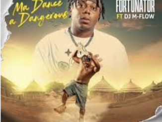 Fortunator - MA Dance A Dangerous (feat. Dj M Flow)