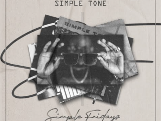 Simple Tone – Simple Fridays Vol 079 mix