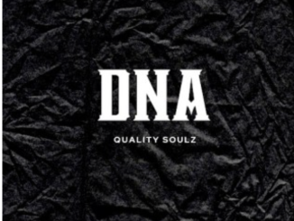 Quality Soulz – Dna