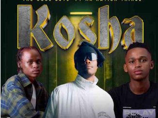 The Cool Guys & Mr Nation Thingz – Kosha