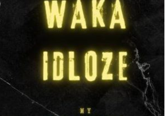 23 Waka idloze – NBA2K