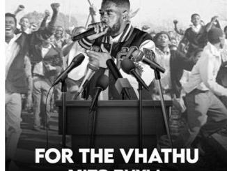 Mizo Phyll – For The Vhathu Album