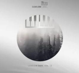 39 VA – Sanelow Dark, Vol. 13