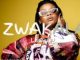 Lady Du – Zwakala Ft. Mr JazziQ, Boohle, Dbn Gogo & Megadrumz