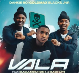 Dankie Boi, GoldMax & Blacks Jnr – Vala (feat. Dladla Mshunqisi & Black Catz)