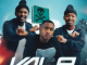 Dankie Boi, GoldMax & Blacks Jnr – Vala (feat. Dladla Mshunqisi & Black Catz)