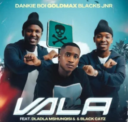 64 Dankie Boi, GoldMax & Blacks Jnr – Vala (feat. Dladla Mshunqisi & Black Catz)