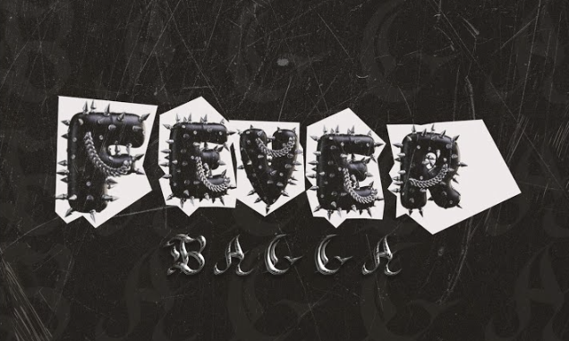 Screenshot 2025-05-01 at 08.42.21 Bagga – Fever