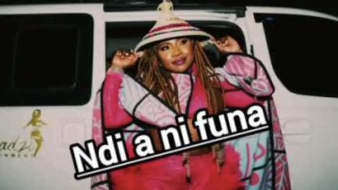 Screenshot 2025-05-01 at 23.12.28 Ndi ani Funa